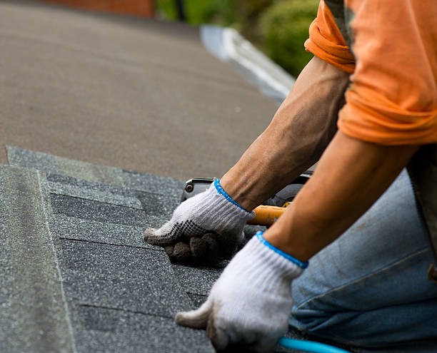 Best Flat Roofing  in Howard Lake, MN